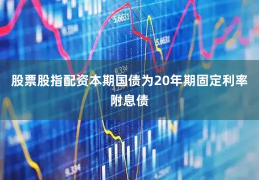 股票股指配资本期国债为20年期固定利率附息债