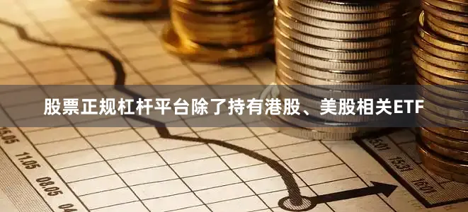 股票正规杠杆平台除了持有港股、美股相关ETF
